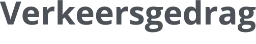 Verkeersgedrag