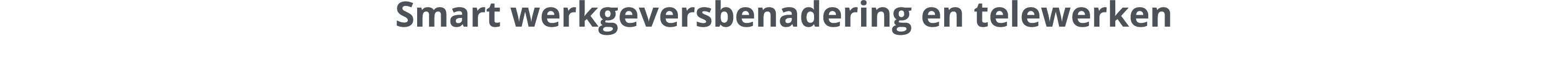 Smart werkgeversbenadering en telewerken